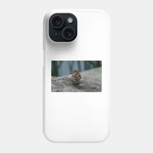 House Sparrow by the water Phone Case