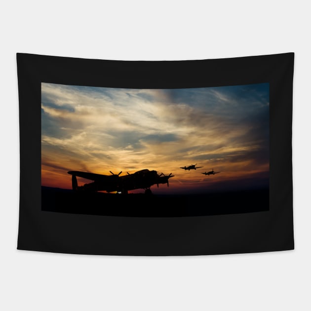 Warbird Silhouettes Tapestry by aviationart