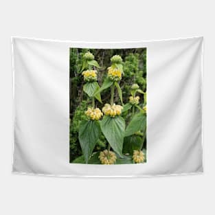 Jerusalem sage Tapestry