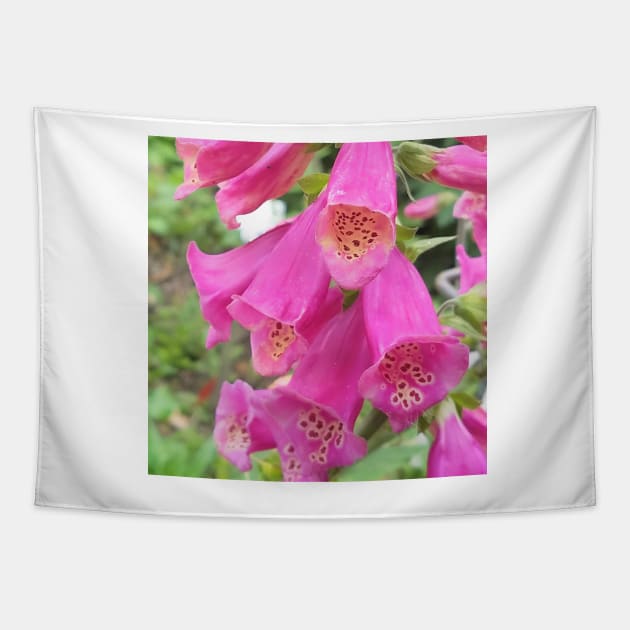 Common Foxglove Tapestry by DesignMore21