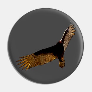 bird in sky Pin