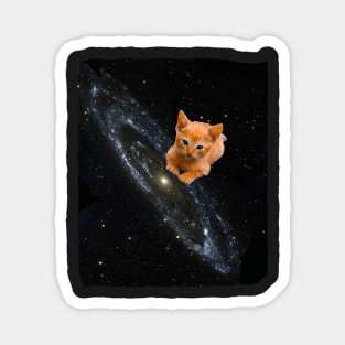 orange Cat on the Milky Way Magnet