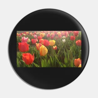 Tulips Pin