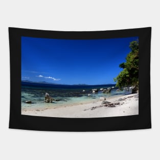 Lagon Palawan, Philippines Tapestry