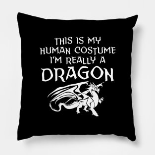 This is my human costume I'm really a dragon Pillow