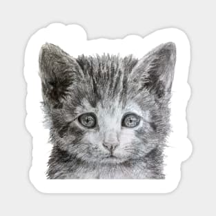 Kitten illustration Magnet