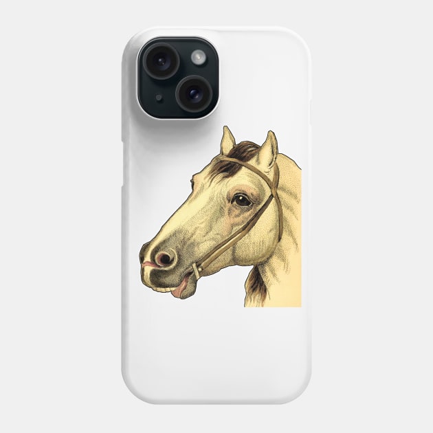 Horse head Phone Case by Marccelus