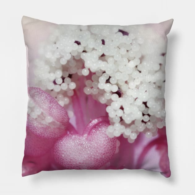 Cotton Candy Pillow by SharonJ