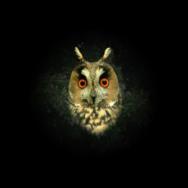 Owl by Guardi