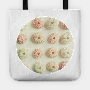 Sea Urchin Collection Tote