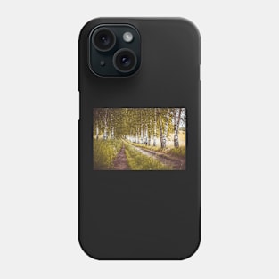 Autumn birches alley Phone Case