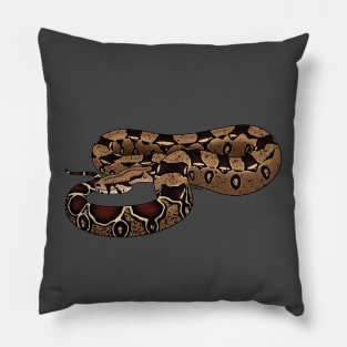 Boa Constrictor Imperator - BCI - Common Boa or Black-tailed Boa Pillow