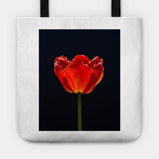 Garden Tulip In Sunlight 1 Tote