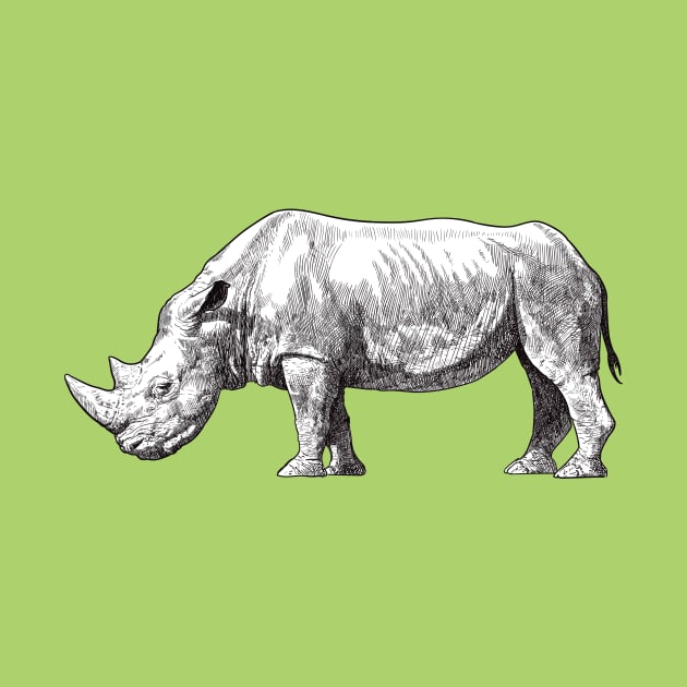 Drawing of a Rhino by StefanAlfonso