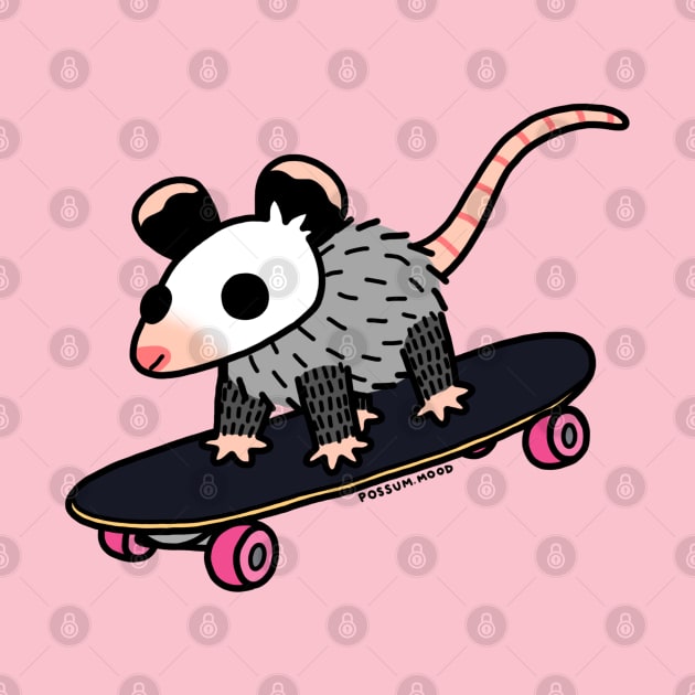 Sk8in by Possum Mood