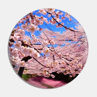 Spring Time Sakura Tree Pin