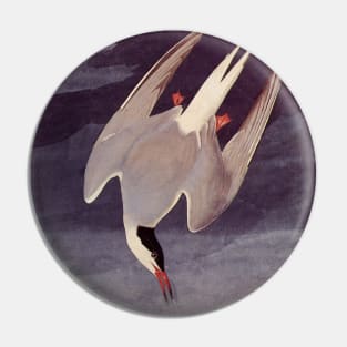 Arctic Tern Pin