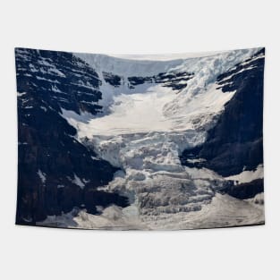 Athabasca Glacier in the Rockies. Tapestry