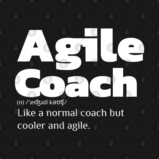 Agile Coach Definition by Salma Satya and Co.