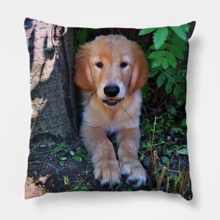 Golden Retriever Puppy Under a Tree Pillow
