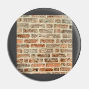 Red bricks hipster design. Pin