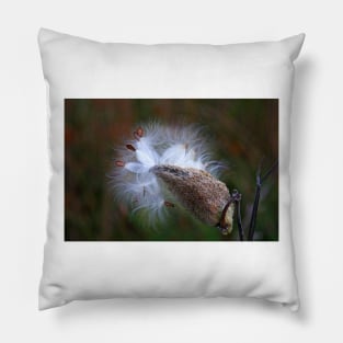 Milkweed Pillow