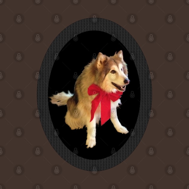 Cute Happy Wolf Dog With Red Bow Smiling - Carbon Fiber Frame by CDC Gold Designs