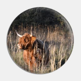 Highland Cattle / Swiss Artwork Photography Pin