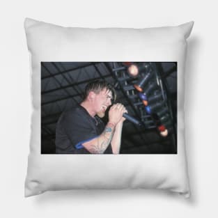 Stephen Richards Taproot Photograph Pillow