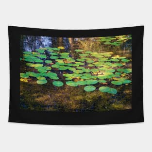 Beautiful Lake Water With Lily Leaves, Tree Reflections & Summer Sunlight Tapestry