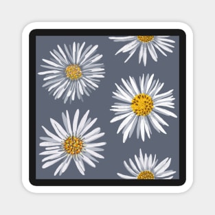 White asters on slate gray, dense Magnet