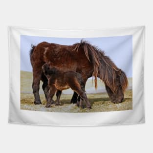 Wild Shetland Ponies - Mare & Foal Tapestry