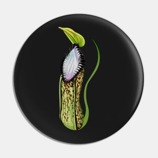 Botany Carnivorous Plant Pitcher Plant Nepenthes Hamata Pin