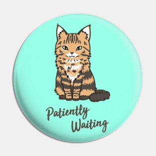 Patiently Waiting Cat Pin