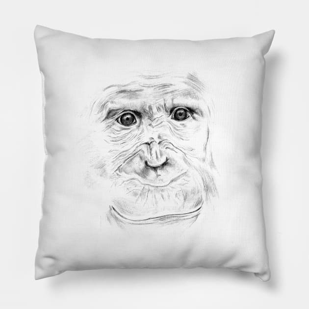 Chimpanzee Portrait Pillow by Head Blaze