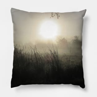 Morning Myth Pillow