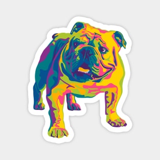 English Bulldog Pop Art Magnet