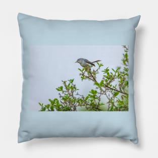 Gnatcatcher On Greenery Pillow