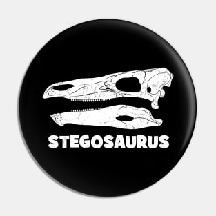 Stegosaurus fossil skull Pin