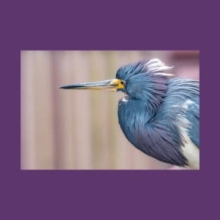 Tricolored Heron in Neck Tucked Pose T-Shirt