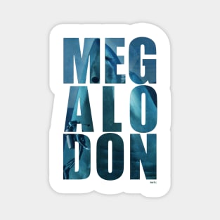 Prehistoric Megalodon Magnet