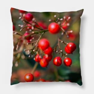 Photography - winter red berry Pillow