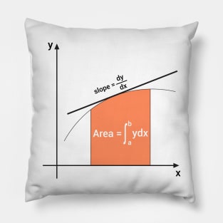 slope of the curve and integral area Pillow