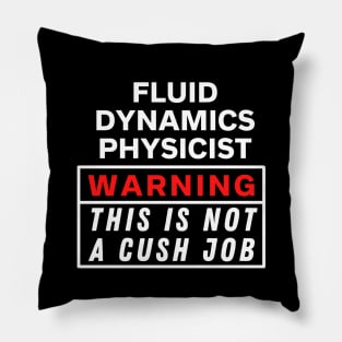 Fluid dynamics physicist Warning this is not a cush job Pillow