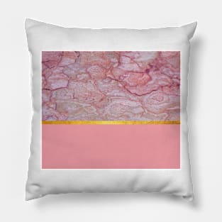 Beautiful pinkish textured composition Pillow