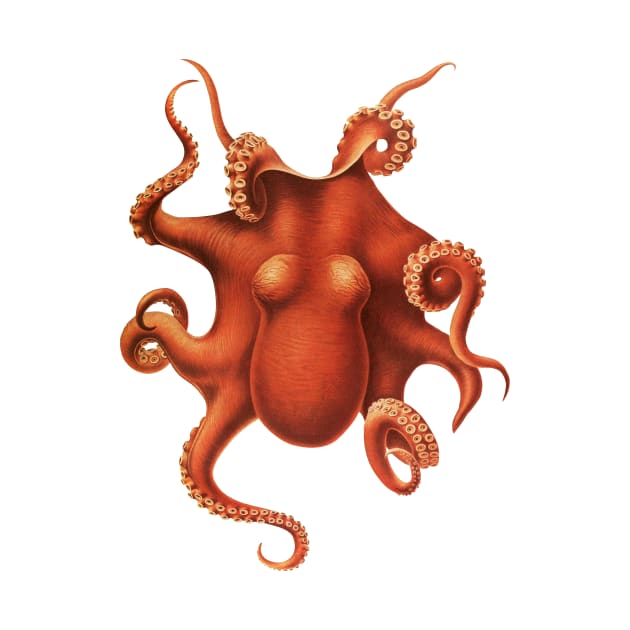 Red Octopus by Wright Art