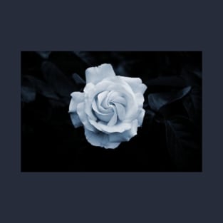 White Rose on Black Velvet T-Shirt