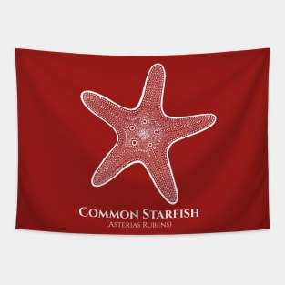 Common Starfish with Common and Scientific Names - beach design Tapestry