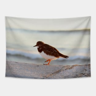 Sandpiper bird enjoying some relaxing time by the sea Tapestry