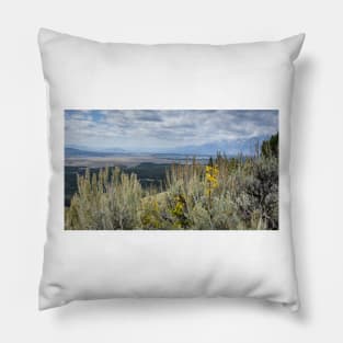 Signal Mountain In Grand Teton Np Pillow